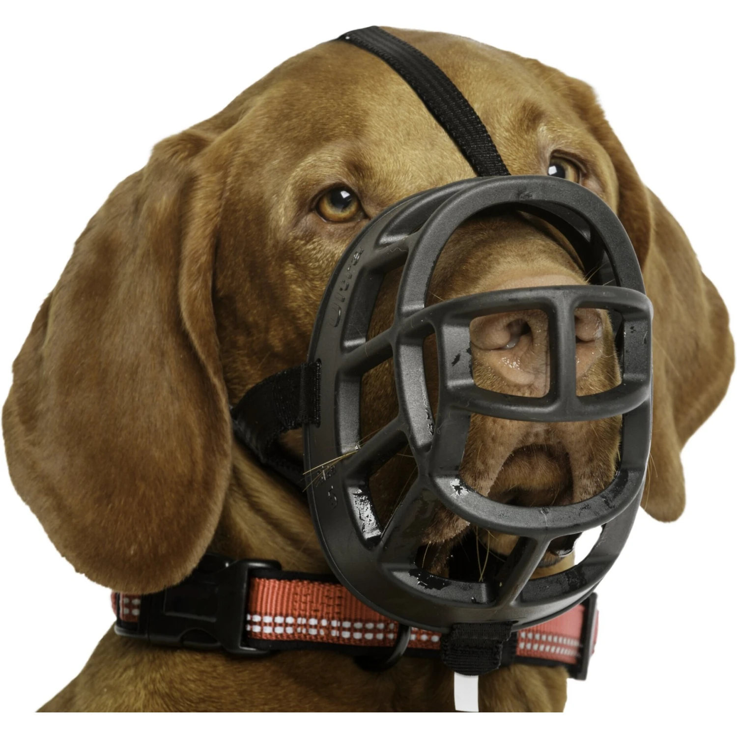 Baskerville Ultra Dog Adjustable Basket Muzzle 8 Baskerville Ultra Dog Adjustable Basket Muzzle - Image 8
