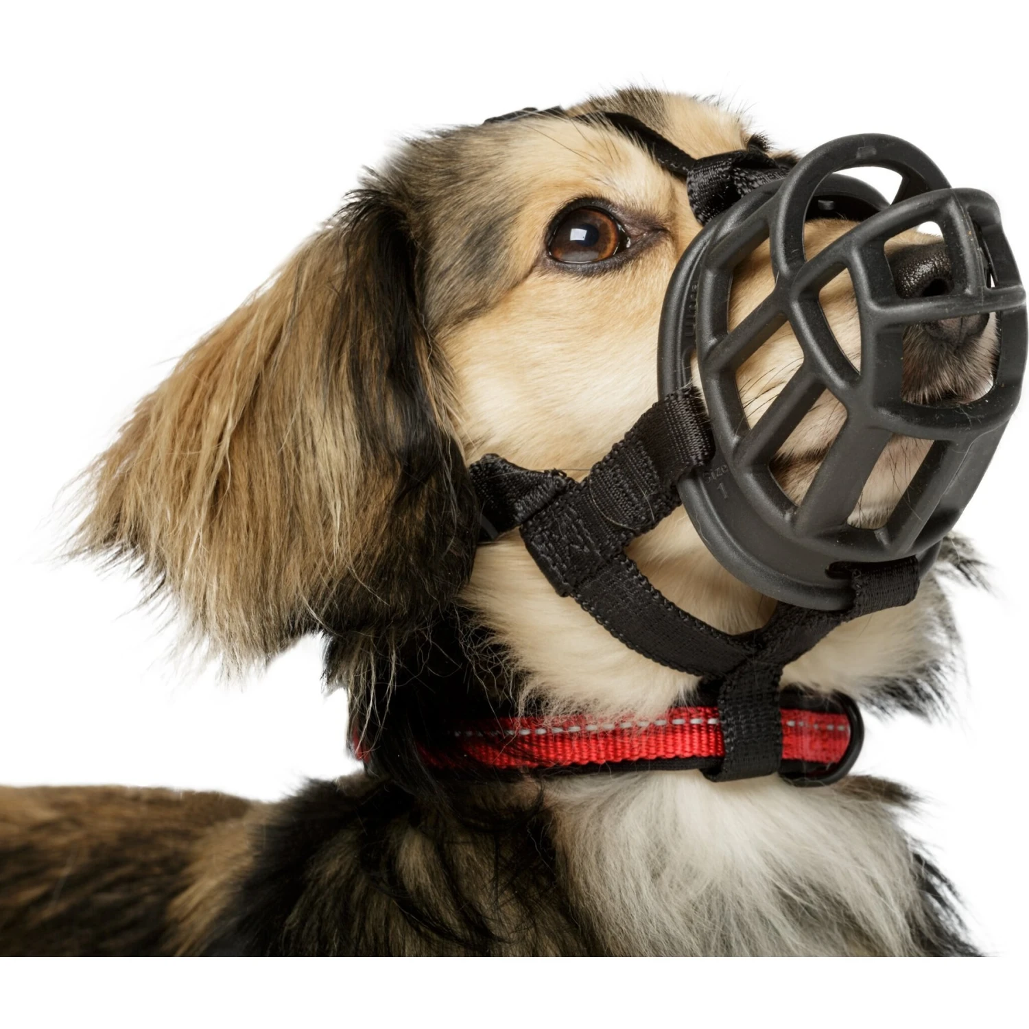 Baskerville Ultra Dog Adjustable Basket Muzzle 9 Baskerville Ultra Dog Adjustable Basket Muzzle - Image 9