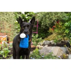 P.L.A.Y. Pet Lifestyle And You Blooming Buddies Collection Wagging Watering Can Plush Squeaky Dog Toy -PetSafe Kong Shop 896622 PT4. AC SS1800 V1689795496