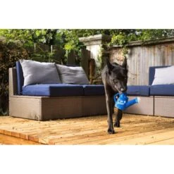 P.L.A.Y. Pet Lifestyle And You Blooming Buddies Collection Wagging Watering Can Plush Squeaky Dog Toy -PetSafe Kong Shop 896622 PT5. AC SS1800 V1689795109