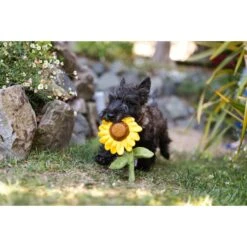 P.L.A.Y. Pet Lifestyle And You Blooming Buddies Set Plush Squeaky Dog Toy, 5 Count -PetSafe Kong Shop 896654 PT4. AC SS1800 V1695593824