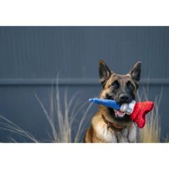 P.L.A.Y. Pet Lifestyle And You Totally Touristy Paris Eiffel Tower Plush Squeaky Dog Toy -PetSafe Kong Shop 896886 PT5. AC SS1800 V1689794508