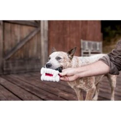 P.L.A.Y. Pet Lifestyle And You Howling Haunts Barkysbite Plush Squeaky Dog Toy -PetSafe Kong Shop 896950 PT4. AC SS1800 V1689794440