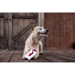 P.L.A.Y. Pet Lifestyle And You Howling Haunts Barkysbite Plush Squeaky Dog Toy -PetSafe Kong Shop 896950 PT5. AC SS1800 V1689966477