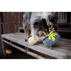 P.L.A.Y. Pet Lifestyle And You Howling Haunts Pupspotion Plush Squeaky Dog Toy -PetSafe Kong Shop 896966 PT4. AC SS1800 V1689800290