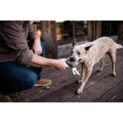 P.L.A.Y. Pet Lifestyle And You Howling Haunts Ghoulishgrave Plush Squeaky Dog Toy -PetSafe Kong Shop 896982 PT5. AC SS1800 V1689800296