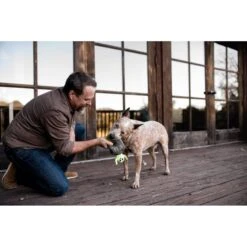 P.L.A.Y. Pet Lifestyle And You Howling Haunts Ghoulishgrave Plush Squeaky Dog Toy -PetSafe Kong Shop 896982 PT6. AC SS1800 V1689960580