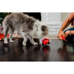 P.L.A.Y. Pet Lifestyle And You Merry Woofmas Collection Clumsy Claus Plush Squeaky Dog Toy -PetSafe Kong Shop 897078 PT4. AC SS1800 V1689960632