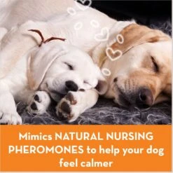 ThunderEase Pheromone Calming Spray For Dogs 13 ThunderEase Pheromone Calming Spray For Dogs -PetSafe Kong Shop 90023 PT6. AC SS1800 V1689362207