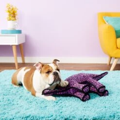 Tuffy's Dinosaur Stegosaurus Squeaky Plush Dog Toy -PetSafe Kong Shop 90127 PT4. AC SS1800 V1531549346