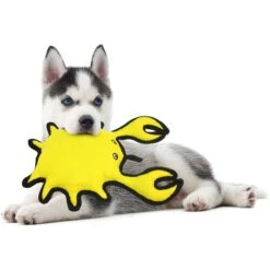 Tuffy's Ocean Creatures King Crab Squeaky Plush Dog Toy 9 Tuffy's Ocean Creatures King Crab Squeaky Plush Dog Toy -PetSafe Kong Shop 90148 PT2. AC SS1800 V1589560956
