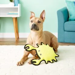 Tuffy's Ocean Creatures King Crab Squeaky Plush Dog Toy 11 Tuffy's Ocean Creatures King Crab Squeaky Plush Dog Toy -PetSafe Kong Shop 90148 PT4. AC SS1800 V1589560987