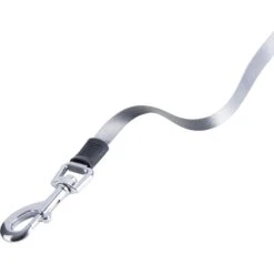 Pounce + Fetch 10-ft Retractable Dog Leash, Grey, Small 11 Pounce + Fetch 10-ft Retractable Dog Leash, Grey, Small -PetSafe Kong Shop 902126 PT3. AC SS1800 V1688567860