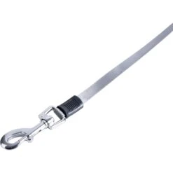 Pounce + Fetch 16-ft Retractable Dog Leash, Grey, Medium -PetSafe Kong Shop 902142 PT2. AC SS1800 V1688567960