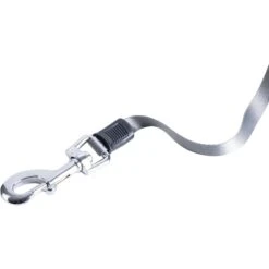 Pounce + Fetch 16-ft Retractable Dog Leash, Grey, Medium -PetSafe Kong Shop 902142 PT3. AC SS1800 V1688567835