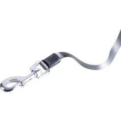 Pounce + Fetch 16-ft Retractable Dog Leash, Grey, Large -PetSafe Kong Shop 902158 PT3. AC SS1800 V1688567841