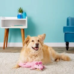 Ethical Pet Skinneeez Extreme Stuffer Pig Stuffing-Free Squeaky Plush Dog Toy -PetSafe Kong Shop 90286 PT7. AC SS1800 V1527093786