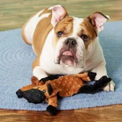 Ethical Pet Skinneeez Extreme Stuffer Cow Stuffing-Free Squeaky Plush Dog Toy -PetSafe Kong Shop 90290 PT2. AC SS1800 V1530548052