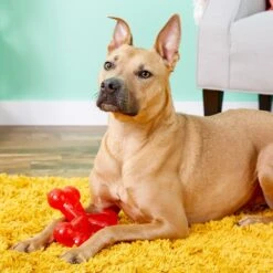 Ethical Pet Play Strong Rubber Trident Tough Dog Chew Toy -PetSafe Kong Shop 90308 PT7. AC SS1800 V1527093846