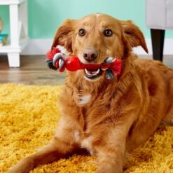 Ethical Pet Play Strong Bone & Rope Tough Dog Chew Toy 6 Ethical Pet Play Strong Bone & Rope Tough Dog Chew Toy -PetSafe Kong Shop 90318 PT7. AC SS1800 V1527094037