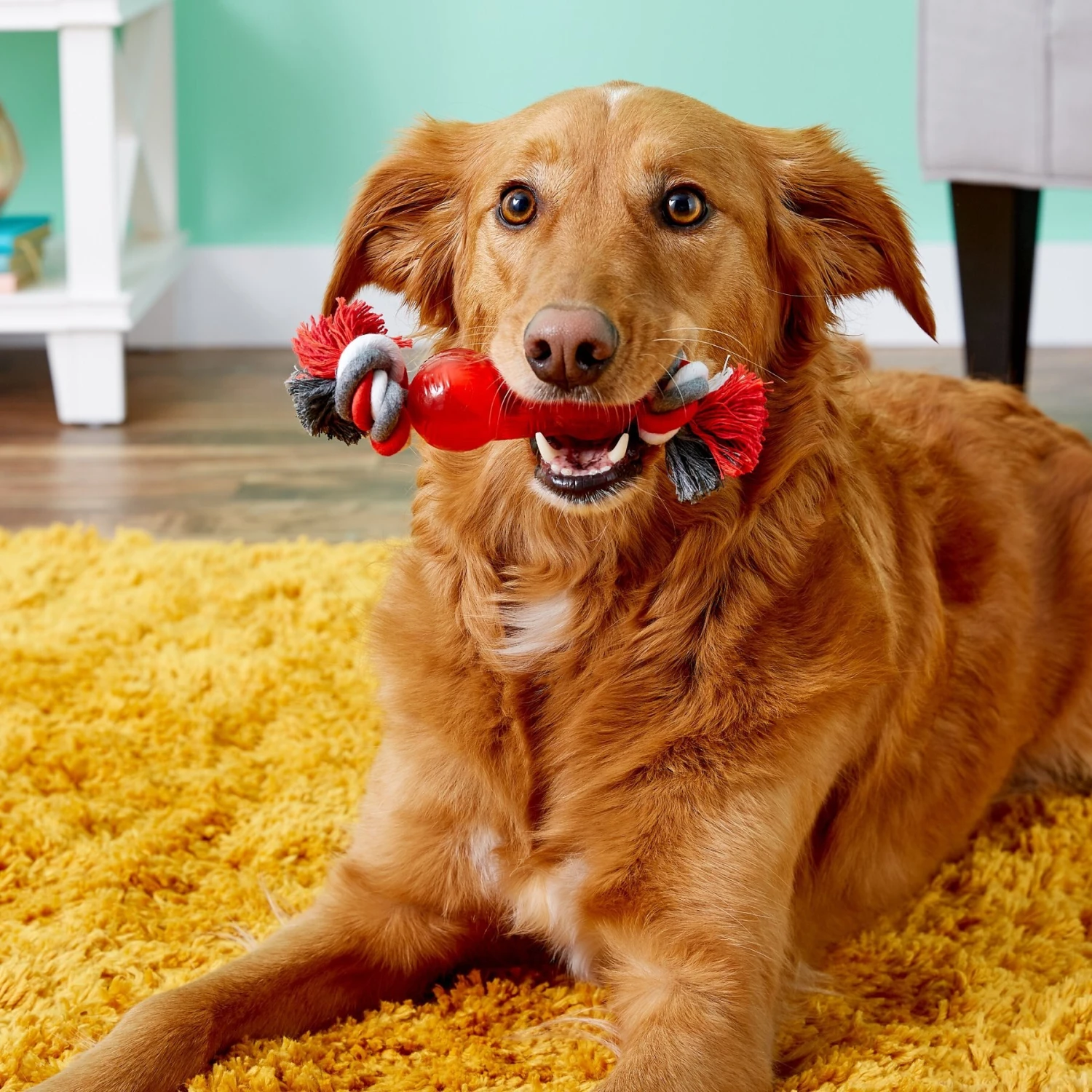 Ethical Pet Play Strong Bone & Rope Tough Dog Chew Toy 3 Ethical Pet Play Strong Bone & Rope Tough Dog Chew Toy - Image 3