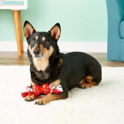 Ethical Pet Play Strong Bone & Rope Tough Dog Chew Toy 7 Ethical Pet Play Strong Bone & Rope Tough Dog Chew Toy -PetSafe Kong Shop 90318 PT8. AC SS1800 V1531549938