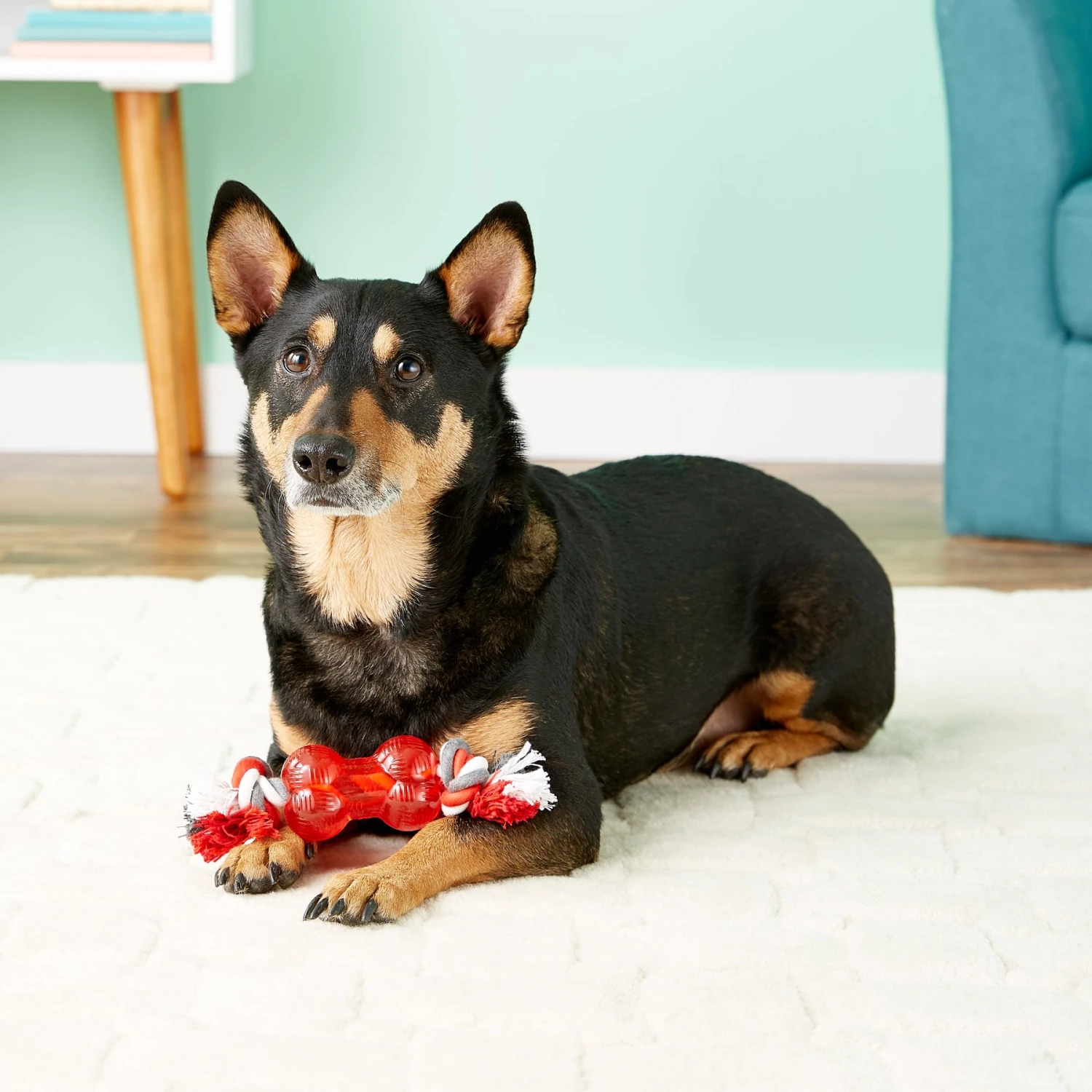 Ethical Pet Play Strong Bone & Rope Tough Dog Chew Toy 4 Ethical Pet Play Strong Bone & Rope Tough Dog Chew Toy - Image 4