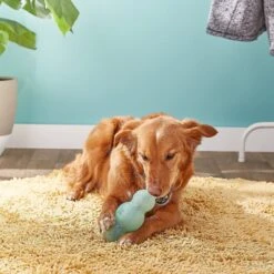 Starmark Crunching Multiball Treat Dispensing Tough Dog Toy -PetSafe Kong Shop 90399 PT2. AC SS1800 V1589320315