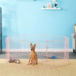 MidWest Wire Dog Exercise Pen With Full MAX Lock Door 8 MidWest Wire Dog Exercise Pen With Full MAX Lock Door -PetSafe Kong Shop 90423 PT3. AC SS1800 V1567186422