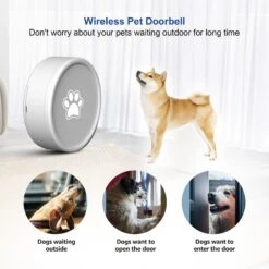 Shele Smart Doorbell With 4 Working Modes & 58 Ringtones Dog Doorbell, White 11 Shele Smart Doorbell With 4 Working Modes & 58 Ringtones Dog Doorbell, White -PetSafe Kong Shop 904302 PT4. AC SS1800 V1689688017