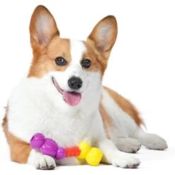 FISHER PRICE Colorbites Flip Stick Dog Toy, Multicolor -PetSafe Kong Shop 907974 PT4. AC SS1800 V1695643665