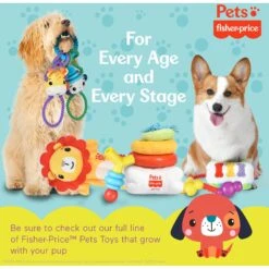 FISHER PRICE Sound-Bites Plush Dog Toy, Multicolor 15 FISHER PRICE Sound-Bites Plush Dog Toy, Multicolor -PetSafe Kong Shop 908022 PT7. AC SS1800 V1699022102