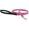 LupinePet Reflective Padded Handle Dog Leash