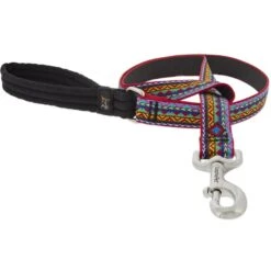 LupinePet Padded Handle Dog Leash