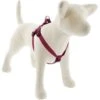 LupinePet Eco Step In Dog Harness