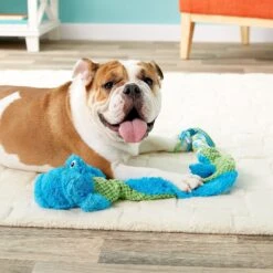 KONG Winders Tails Dog Toy 6 KONG Winders Tails Dog Toy -PetSafe Kong Shop 91302 PT2. AC SS1800 V1605308809