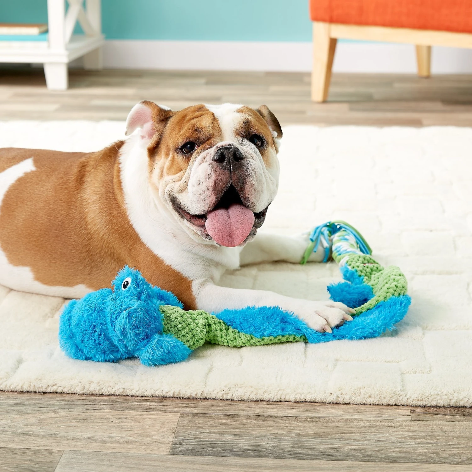 KONG Winders Tails Dog Toy 3 KONG Winders Tails Dog Toy - Image 3