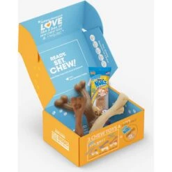 Nylabone The Box Chew Toy & Treat Gift Box -PetSafe Kong Shop 915502 PT6. AC SS1800 V1700169569