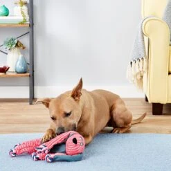 KONG Floppy Knots Dog Toy, Fox & KONG Floppy Knots Dog Toy, Bunny -PetSafe Kong Shop 916630 PT8. AC SS1800 V1689884661