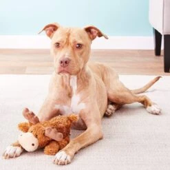 KONG Cozie Marvin The Moose Plush Dog Toy & KONG Cozie Ali The Alligator Dog Toy -PetSafe Kong Shop 916678 PT4. AC SS1800 V1689881226