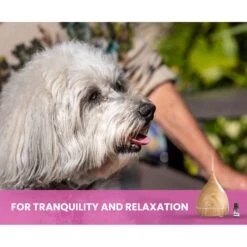 Gou Gou Pets Calming Essential Oil Blend & Diffuser Set For Anxiety Dog & Cat Spray, 15-ml Bottle -PetSafe Kong Shop 918086 PT7. AC SS1800 V1694442933