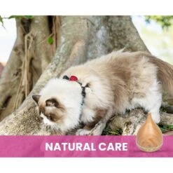 Gou Gou Pets Essential Oil Diffuser Dog & Cat Spray -PetSafe Kong Shop 918102 PT4. AC SS1800 V1694442931