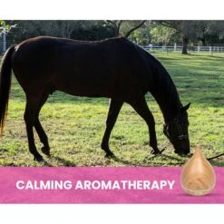 Gou Gou Pets Essential Oil Diffuser Dog & Cat Spray -PetSafe Kong Shop 918102 PT7. AC SS1800 V1694442983