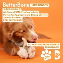 BetterBone Tough Beef Dog Toy, Natural 9 BetterBone Tough Beef Dog Toy, Natural -PetSafe Kong Shop 919166 PT2. AC SS1800 V1691768035