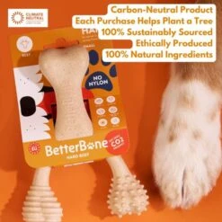 BetterBone Tough Beef Dog Toy, Natural 12 BetterBone Tough Beef Dog Toy, Natural -PetSafe Kong Shop 919166 PT5. AC SS1800 V1691775895
