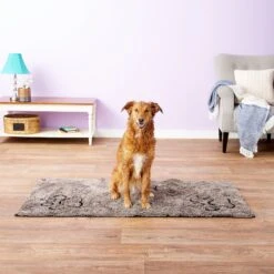 Dog Gone Smart Runner Dirty Dog Doormat, X-Large -PetSafe Kong Shop 92090 PT8. AC SS1800 V1518451087