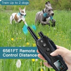 GroovyPets 1100 Yard Remote Two Dog Training Collar System -PetSafe Kong Shop 922606 PT3. AC SS1800 V1690818497
