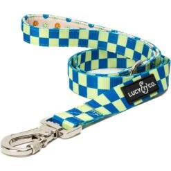 Lucy & Co. The Have A Nice Day Polyester Padded Handle Dog Leash, Blue