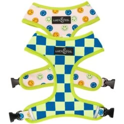 Lucy & Co. The Have A Nice Day Reversible Dog Harness, Blue