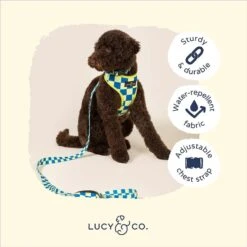 Lucy & Co. The Have A Nice Day Reversible Dog Harness, Blue 9 Lucy & Co. The Have A Nice Day Reversible Dog Harness, Blue -PetSafe Kong Shop 923062 PT3. AC SS1800 V1693511755